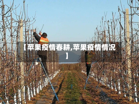 【苹果疫情春耕,苹果疫情情况】