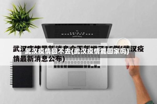 武汉疫情回不去(武汉疫情能回家吗)