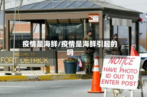 疫情是海鲜/疫情是海鲜引起的吗