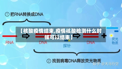 【核酸疫情结束,疫情核酸检测什么时候可以结束】